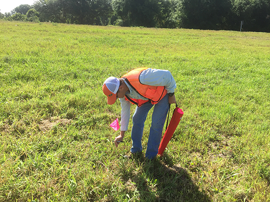 Project Development and Environmental Studies