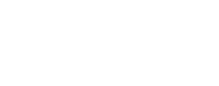 ACEC FL Logo white 1