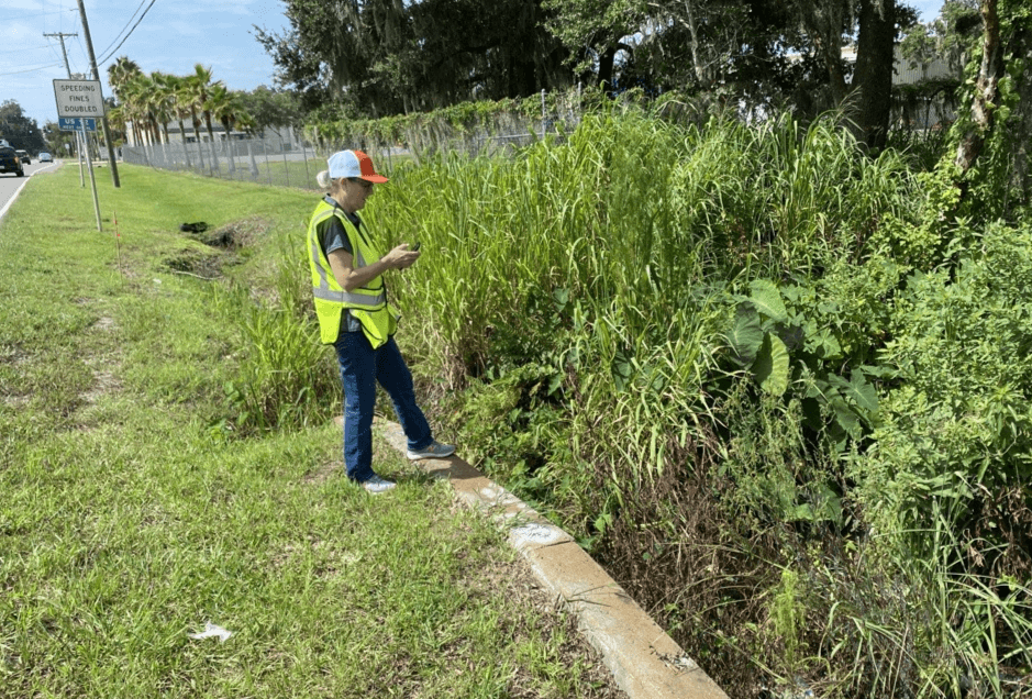 Carol Drainage Engineer